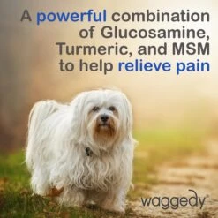 Waggedy Anti-Inflammatory Hip & Joint Soft Chews Supplement For Dogs, 90 Count -Pet Wellness 165434 PT5. AC SS1800 V1555345929