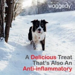 Waggedy Anti-Inflammatory Hip & Joint Soft Chews Supplement For Dogs, 90 Count -Pet Wellness 165434 PT6. AC SS1800 V1555345924