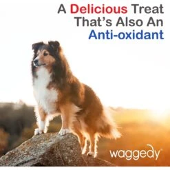 Waggedy Anti-Inflammatory Hip & Joint Soft Chews Supplement For Dogs, 90 Count -Pet Wellness 165434 PT7. AC SS1800 V1555345939