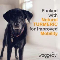 Waggedy Anti-Inflammatory Hip & Joint Soft Chews Supplement For Dogs, 90 Count -Pet Wellness 165434 PT8. AC SS1800 V1555345944
