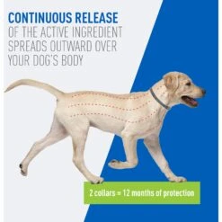 Adams® Adams Flea & Tick Collar For Dogs & Puppies -Pet Wellness 165795 PT3. AC SS1800 V1679081901