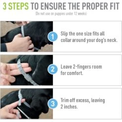 Adams® Adams Flea & Tick Collar For Dogs & Puppies -Pet Wellness 165795 PT6. AC SS1800 V1679080851