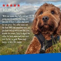 Adams® Adams Flea & Tick Collar For Dogs & Puppies -Pet Wellness 165795 PT7. AC SS1800 V1679081961