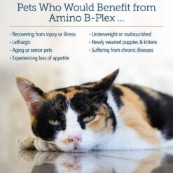 Rx Vitamins Amino B-Plex Liquid Nutritional Supplement For Cats & Dogs -Pet Wellness 166033 PT3. AC SS1800 V1633127028