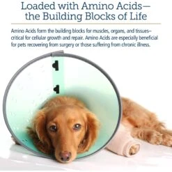 Rx Vitamins Amino B-Plex Liquid Nutritional Supplement For Cats & Dogs -Pet Wellness 166033 PT4. AC SS1800 V1562787469