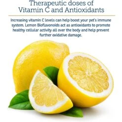 Rx Vitamins Bio-C Powder Immune Supplement For Cats & Dogs 9 Rx Vitamins Bio-C Powder Immune Supplement For Cats & Dogs -Pet Wellness 166039 PT3. AC SS1800 V1633127565