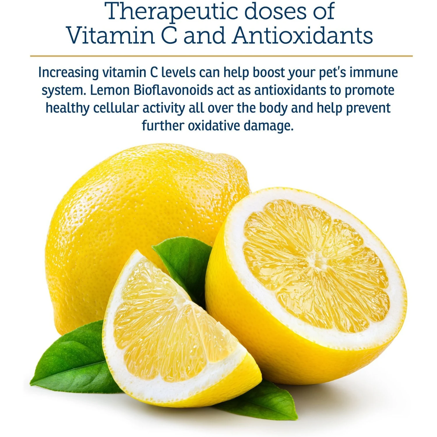 Rx Vitamins Bio-C Powder Immune Supplement For Cats & Dogs 4 Rx Vitamins Bio-C Powder Immune Supplement For Cats & Dogs - Image 4