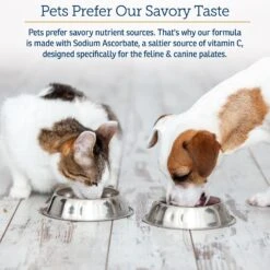 Rx Vitamins Bio-C Powder Immune Supplement For Cats & Dogs 10 Rx Vitamins Bio-C Powder Immune Supplement For Cats & Dogs -Pet Wellness 166039 PT4. AC SS1800 V1562787124