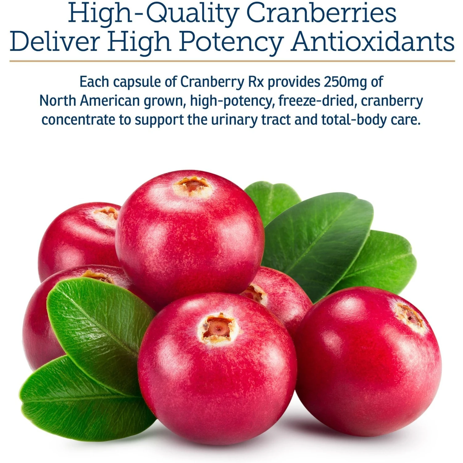 Rx Vitamins Cranberry Rx Capsules Urinary Supplement For Cats & Dogs 4 Rx Vitamins Cranberry Rx Capsules Urinary Supplement For Cats & Dogs - Image 4