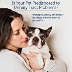 Rx Vitamins Cranberry Rx Capsules Urinary Supplement For Cats & Dogs 10 Rx Vitamins Cranberry Rx Capsules Urinary Supplement For Cats & Dogs -Pet Wellness 166045 PT4. AC SS1800 V1562787523