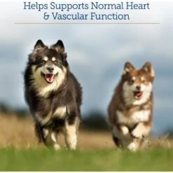 Rx Vitamins Formula CV Capsules Heart Supplement For Cats & Dogs -Pet Wellness 166049 PT2. AC SS1800 V1633124500