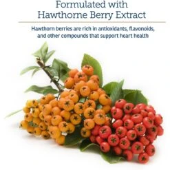 Rx Vitamins Formula CV Capsules Heart Supplement For Cats & Dogs -Pet Wellness 166049 PT4. AC SS1800 V1562787476