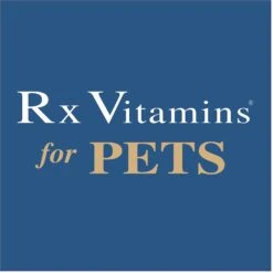 Rx Vitamins Immuno Capsules Immune Supplement For Cats & Dogs 11 Rx Vitamins Immuno Capsules Immune Supplement For Cats & Dogs -Pet Wellness 166053 PT8. AC SS1800 V1562788333
