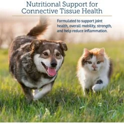 Rx Vitamins NutriFlex Chewable Tablets Joint Supplement For Cats & Dogs -Pet Wellness 166078 PT2. AC SS1800 V1633123003
