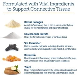 Rx Vitamins NutriFlex Chewable Tablets Joint Supplement For Cats & Dogs -Pet Wellness 166078 PT3. AC SS1800 V1633125413