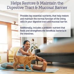 Rx Vitamins Nutrigest Powder Digestive Supplement For Cats & Dogs 8 Rx Vitamins Nutrigest Powder Digestive Supplement For Cats & Dogs -Pet Wellness 166082 PT2. AC SS1800 V1633128176