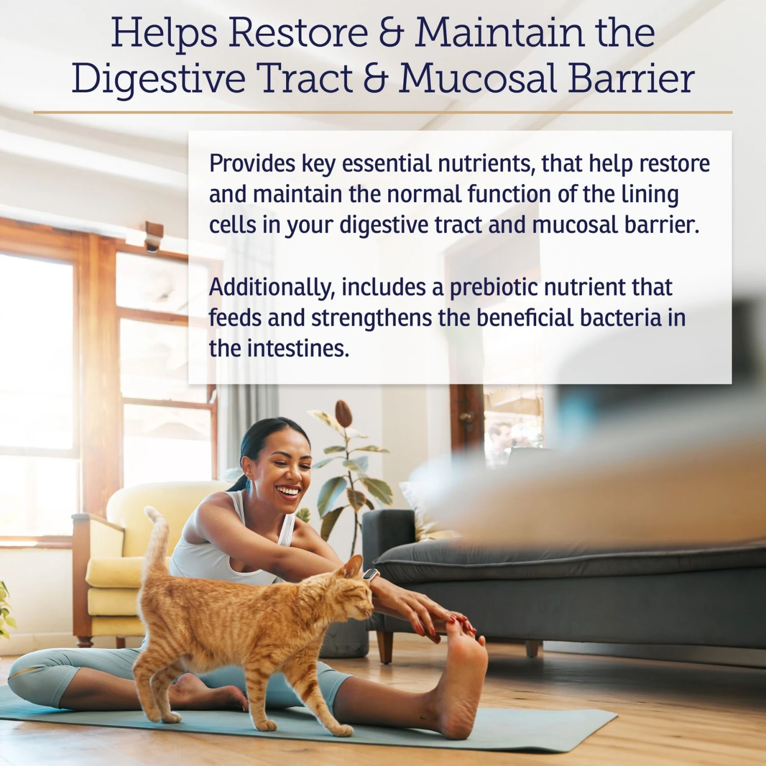 Rx Vitamins Nutrigest Powder Digestive Supplement For Cats & Dogs 3 Rx Vitamins Nutrigest Powder Digestive Supplement For Cats & Dogs - Image 3