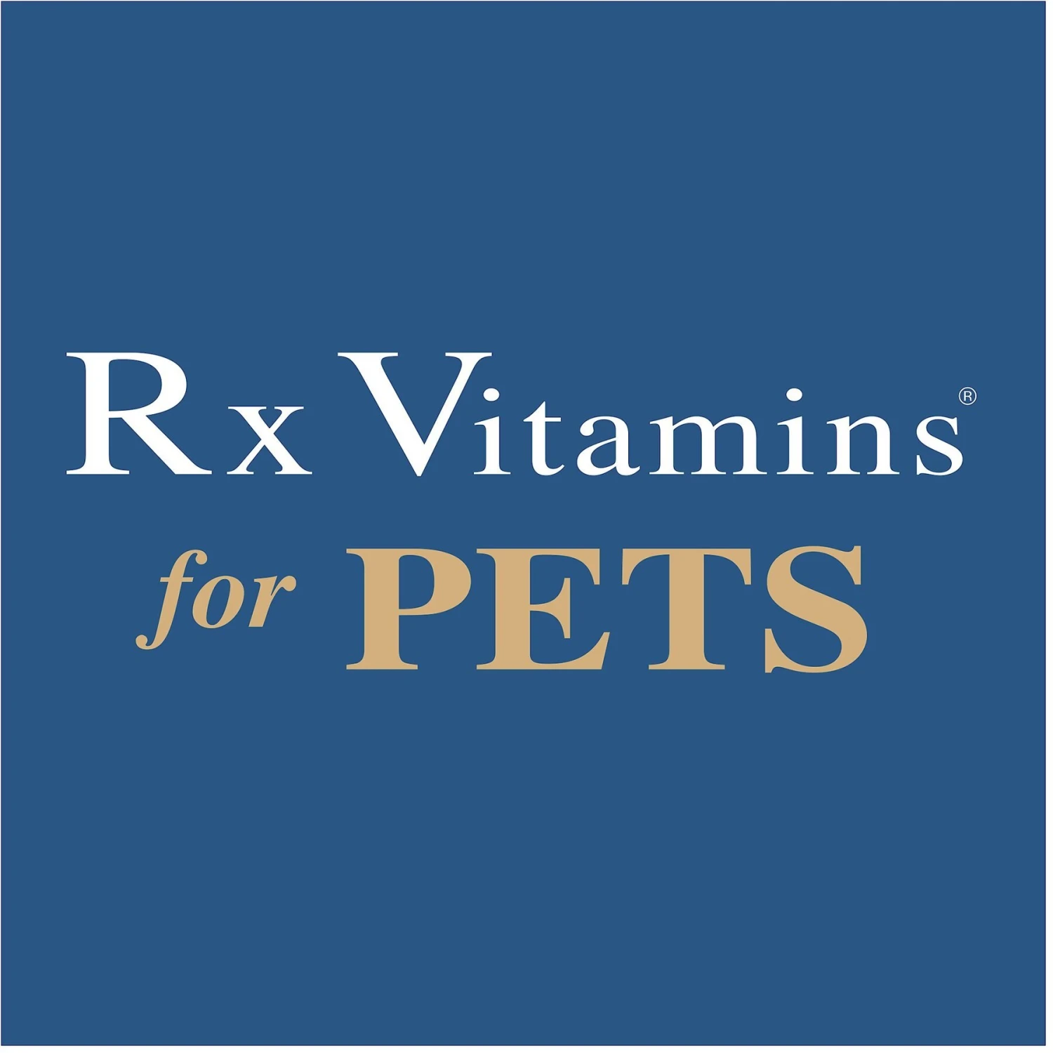 Rx Vitamins Nutrigest Powder Digestive Supplement For Cats & Dogs 6 Rx Vitamins Nutrigest Powder Digestive Supplement For Cats & Dogs - Image 6