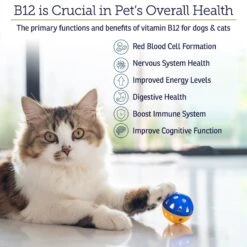 Rx Vitamins Rx B12 Liquid Digestive Supplement For Cats & Dogs -Pet Wellness 166086 PT2. AC SS1800 V1633125924