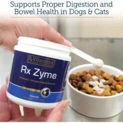 Rx Vitamins Rx Zyme Powder Digestive Supplement For Cats & Dogs 8 Rx Vitamins Rx Zyme Powder Digestive Supplement For Cats & Dogs -Pet Wellness 166102 PT2. AC SS1800 V1633123876