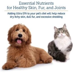 Rx Vitamins Ultra EFA Liquid Skin & Coat Supplement For Cats & Dogs 7 Rx Vitamins Ultra EFA Liquid Skin & Coat Supplement For Cats & Dogs -Pet Wellness 166107 PT3. AC SS1800 V1633124305