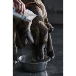 Buck Bone Organics Ground Elk & Deer Antler Powder Supplemental Dog Food Topper -Pet Wellness 167686 PT3. AC SS1800 V1682543446