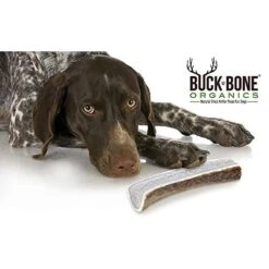 Buck Bone Organics Ground Elk & Deer Antler Powder Supplemental Dog Food Topper -Pet Wellness 167686 PT4. AC SS1800 V1557771560