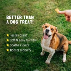 Active Chews Advanced Hip & Joint Support Dog Supplement -Pet Wellness 169318 PT5. AC SS1800 V1645828949