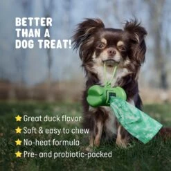 Active Chews Probiotic Digestive Health Dog Supplement -Pet Wellness 169320 PT5. AC SS1800 V1646149906