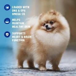 Active Chews Premium Omega Skin & Coat Pure Fish Oil Dog Supplement -Pet Wellness 169322 PT2. AC SS1800 V1627486577