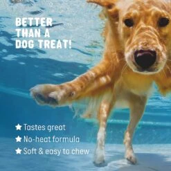 Active Chews Premium Omega Skin & Coat Pure Fish Oil Dog Supplement -Pet Wellness 169322 PT5. AC SS1800 V1627485974