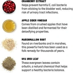 Active Chews Cranberry Urinary Health Dog Supplement -Pet Wellness 169324 PT3. AC SS1800 V1627486575