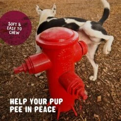 Active Chews Cranberry Urinary Health Dog Supplement -Pet Wellness 169324 PT5. AC SS1800 V1627486887