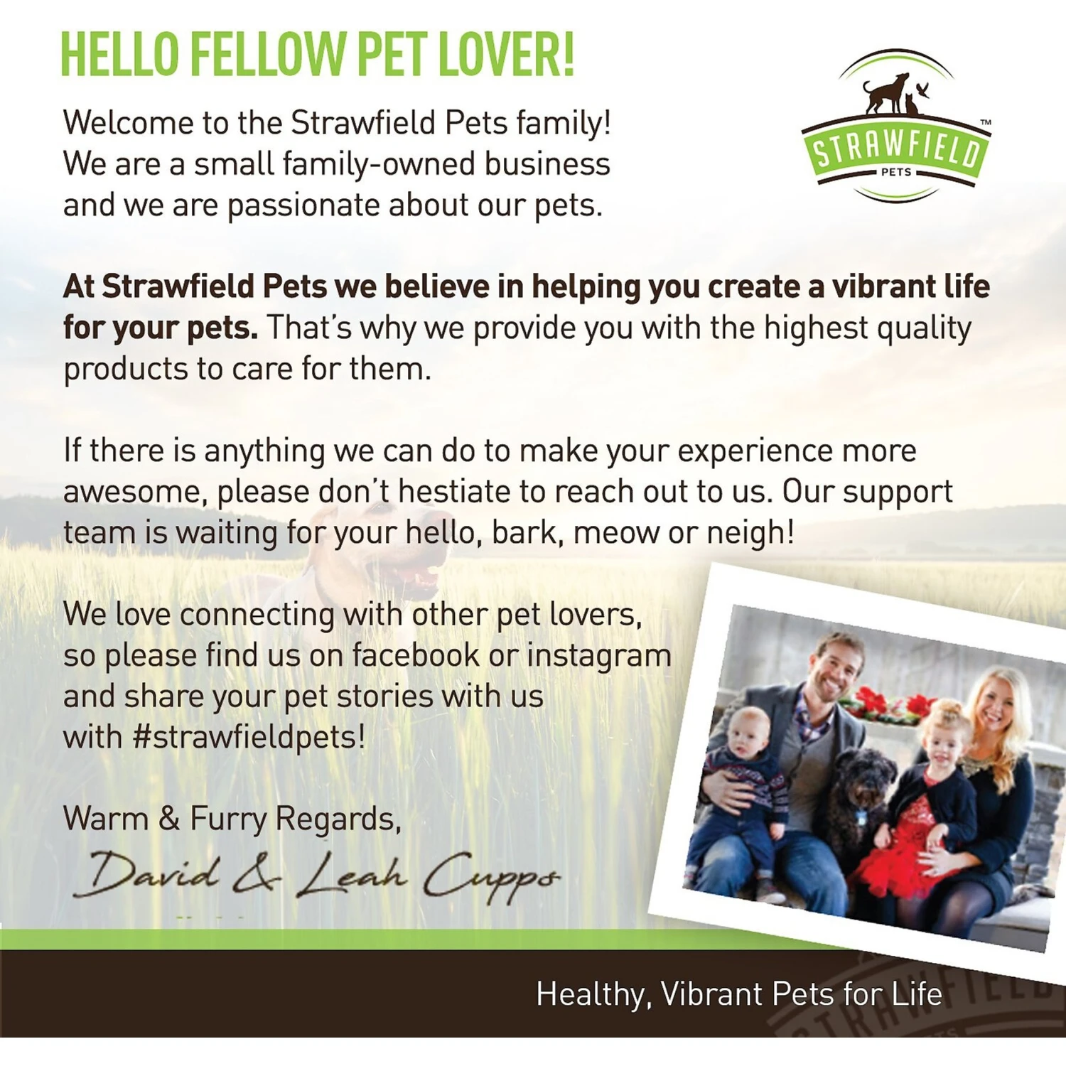 Strawfield Pets Wild Alaskan Salmon Chews Grain-Free Dog Supplement 5 Strawfield Pets Wild Alaskan Salmon Chews Grain-Free Dog Supplement - Image 5