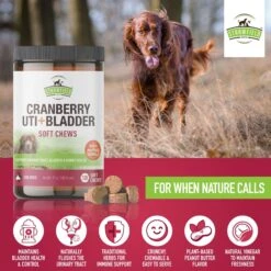 Strawfield Pets Cranberry + UTI Bladder Chews Grain-Free Dog Supplement -Pet Wellness 169433 PT2. AC SS1800 V1679928895
