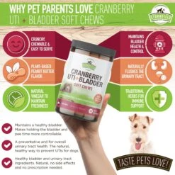 Strawfield Pets Cranberry + UTI Bladder Chews Grain-Free Dog Supplement -Pet Wellness 169433 PT4. AC SS1800 V1679928889