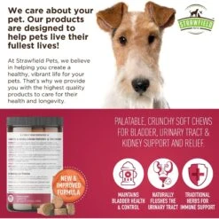 Strawfield Pets Cranberry + UTI Bladder Chews Grain-Free Dog Supplement -Pet Wellness 169433 PT6. AC SS1800 V1679928952