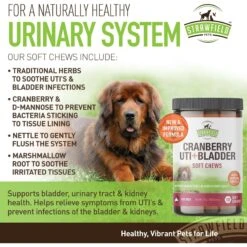 Strawfield Pets Cranberry + UTI Bladder Chews Grain-Free Dog Supplement -Pet Wellness 169433 PT8. AC SS1800 V1679928892