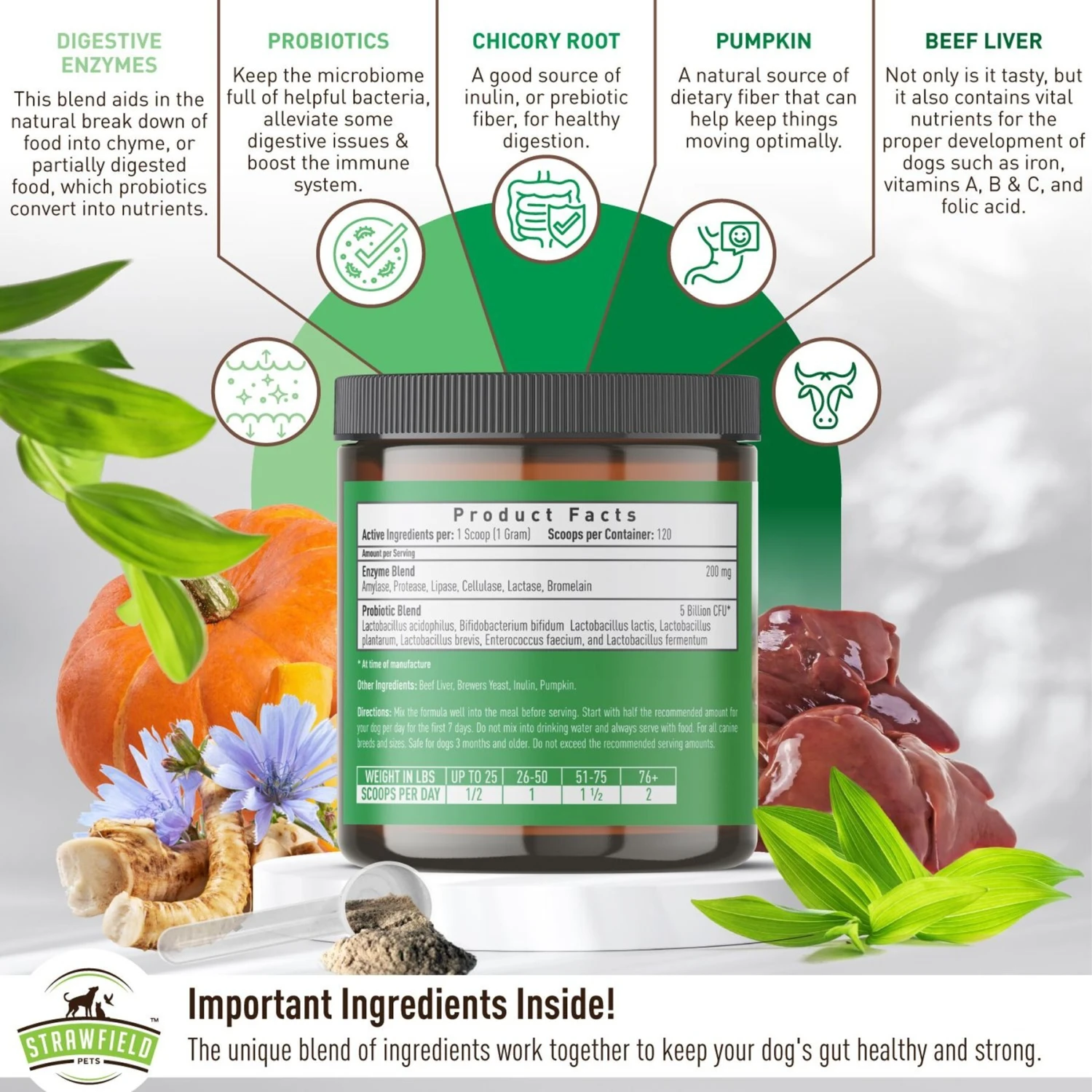 Strawfield Pets Pre + Probiotic Powder Dog Supplement 6 Strawfield Pets Pre + Probiotic Powder Dog Supplement - Image 6