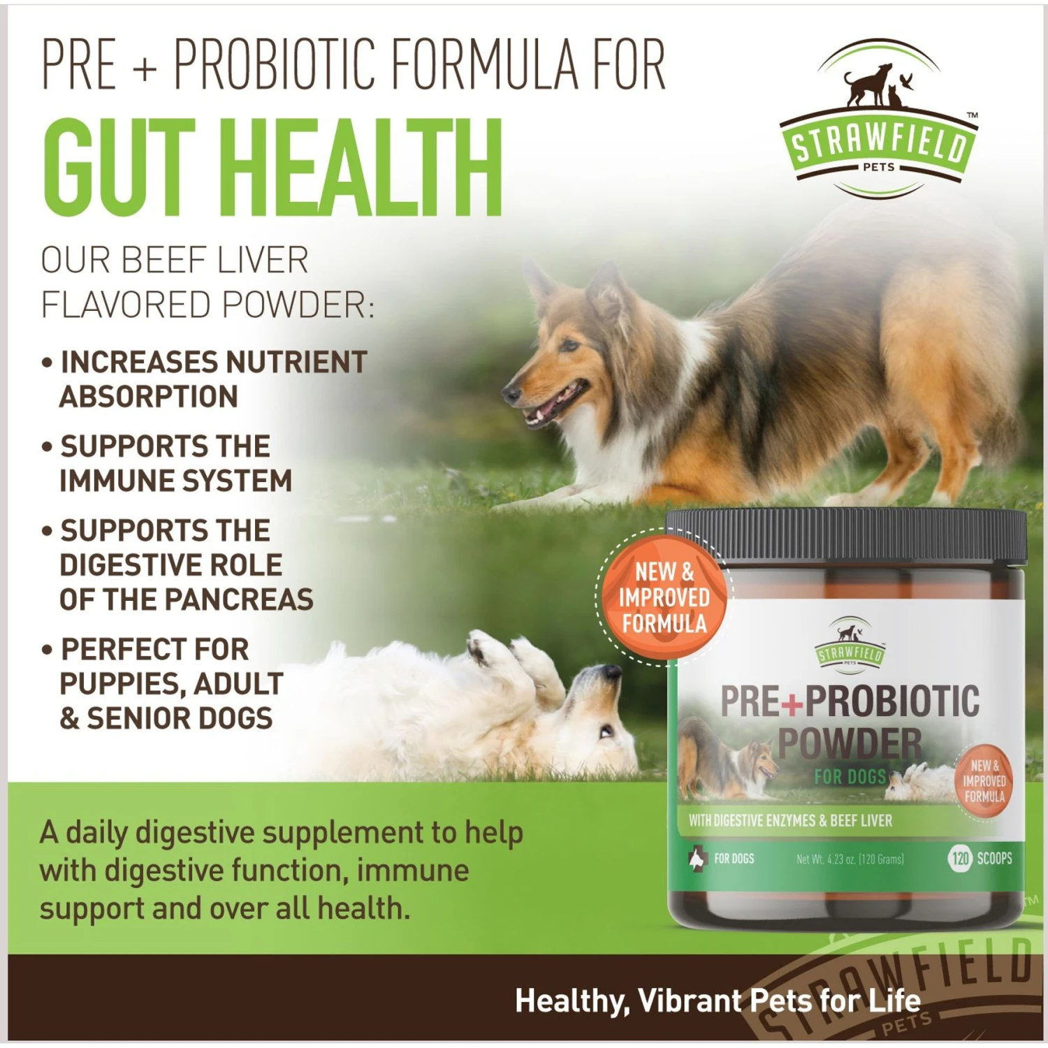 Strawfield Pets Pre + Probiotic Powder Dog Supplement 9 Strawfield Pets Pre + Probiotic Powder Dog Supplement - Image 9