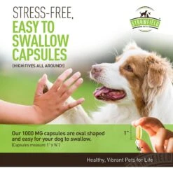 Strawfield Pets Omega-3 Soft Gels Dog Supplement -Pet Wellness 169445 PT2. AC SS1800 V1557864721