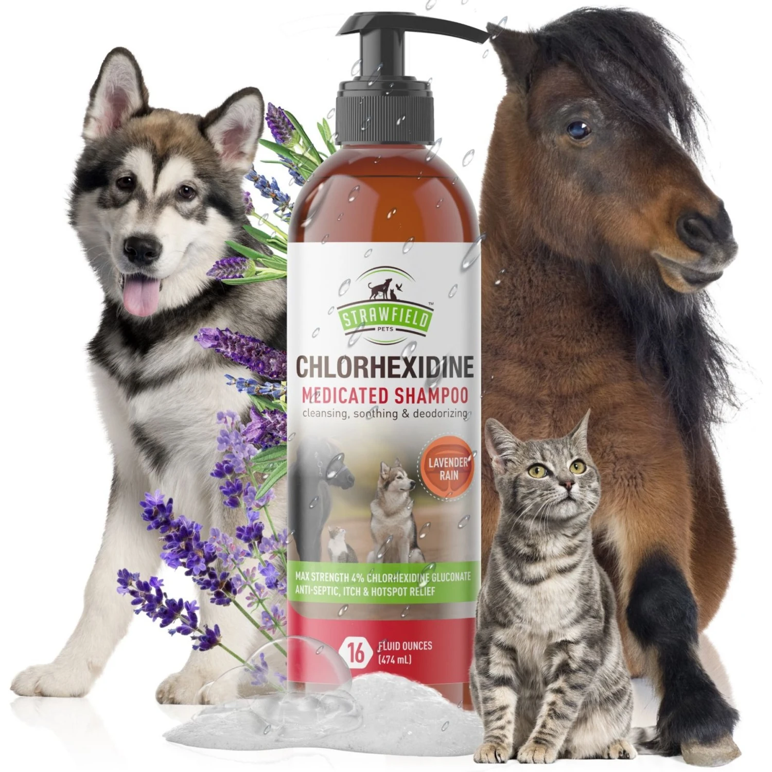 Strawfield Pets Chlorhexidine Medicated Dog, Cat & Horse Shampoo 2 Strawfield Pets Chlorhexidine Medicated Dog, Cat & Horse Shampoo - Image 2