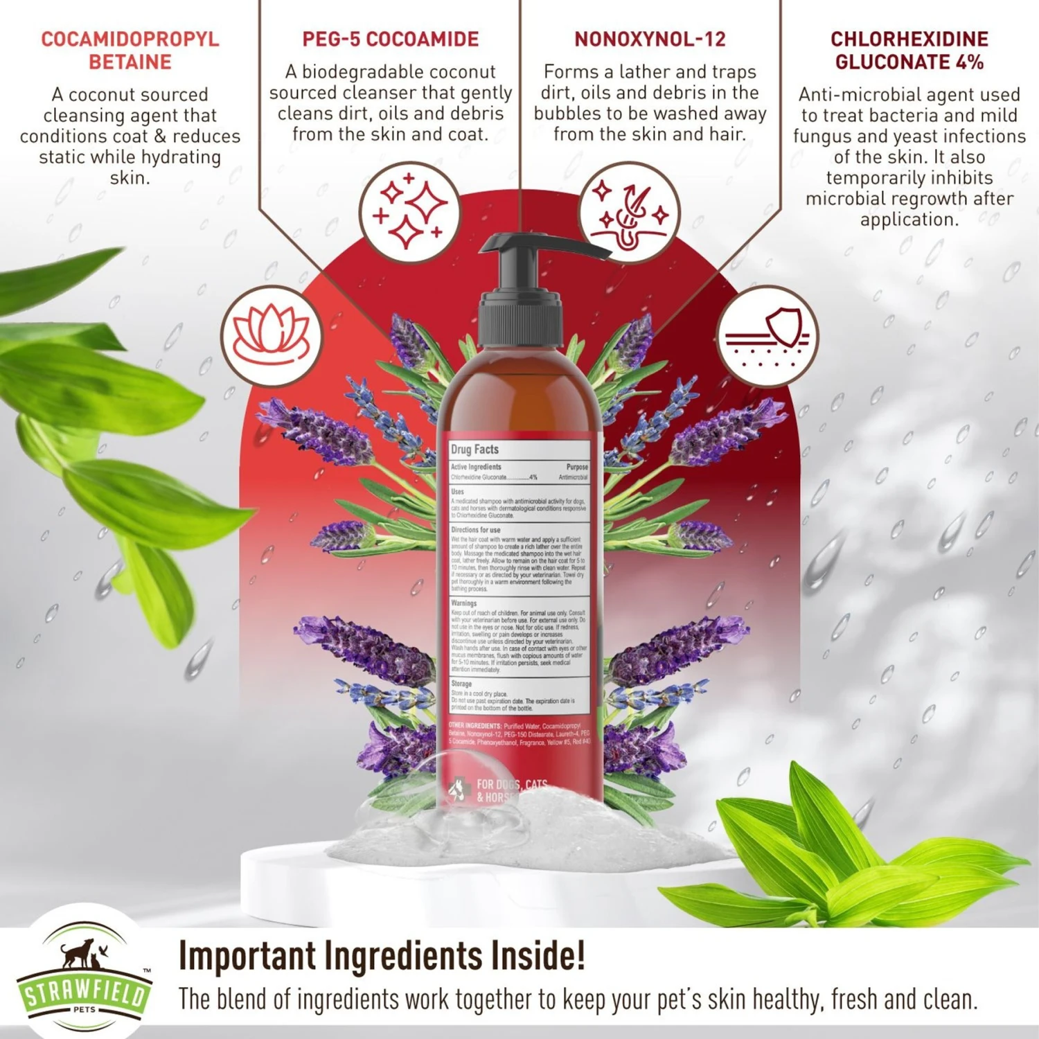 Strawfield Pets Chlorhexidine Medicated Dog, Cat & Horse Shampoo 5 Strawfield Pets Chlorhexidine Medicated Dog, Cat & Horse Shampoo - Image 5