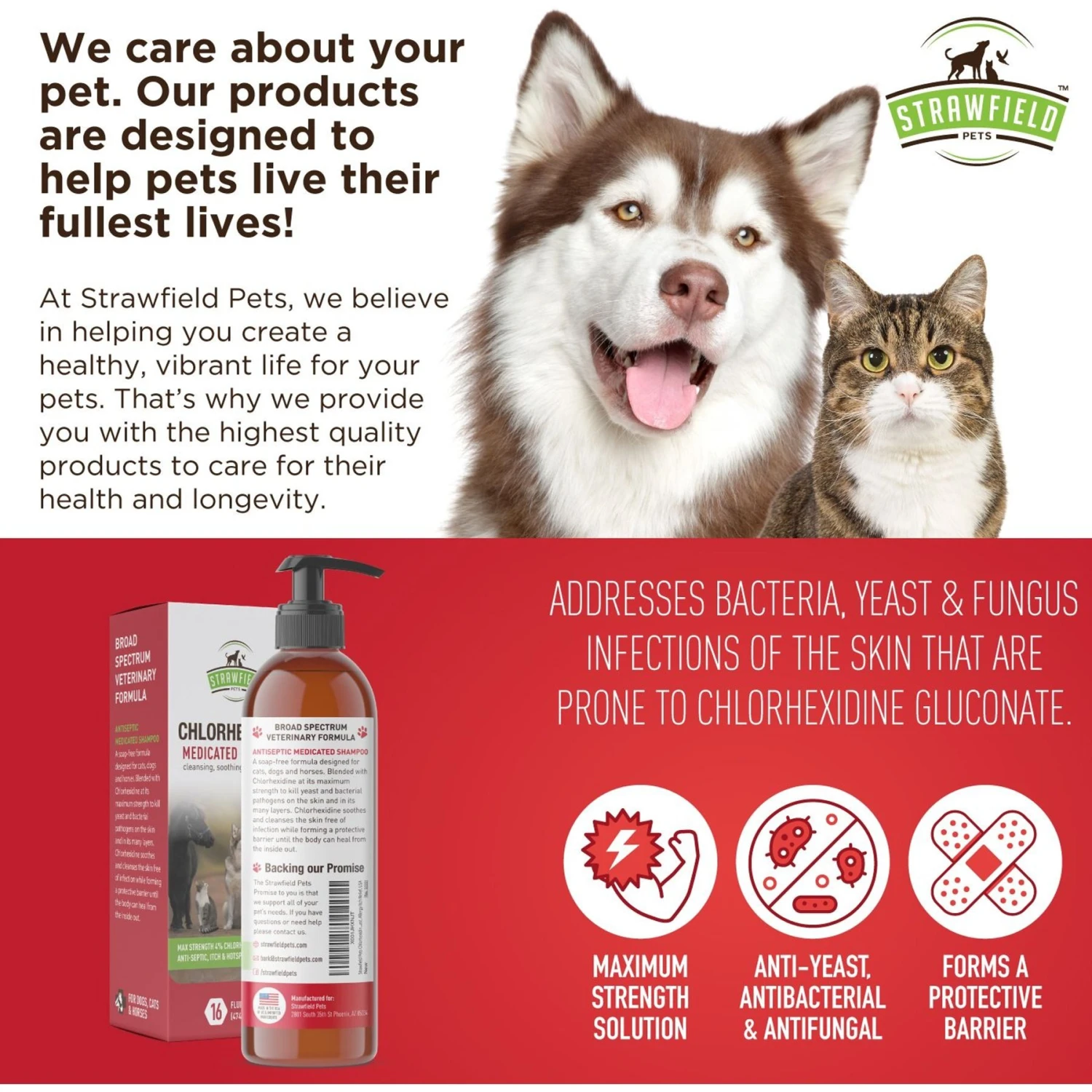 Strawfield Pets Chlorhexidine Medicated Dog, Cat & Horse Shampoo 6 Strawfield Pets Chlorhexidine Medicated Dog, Cat & Horse Shampoo - Image 6