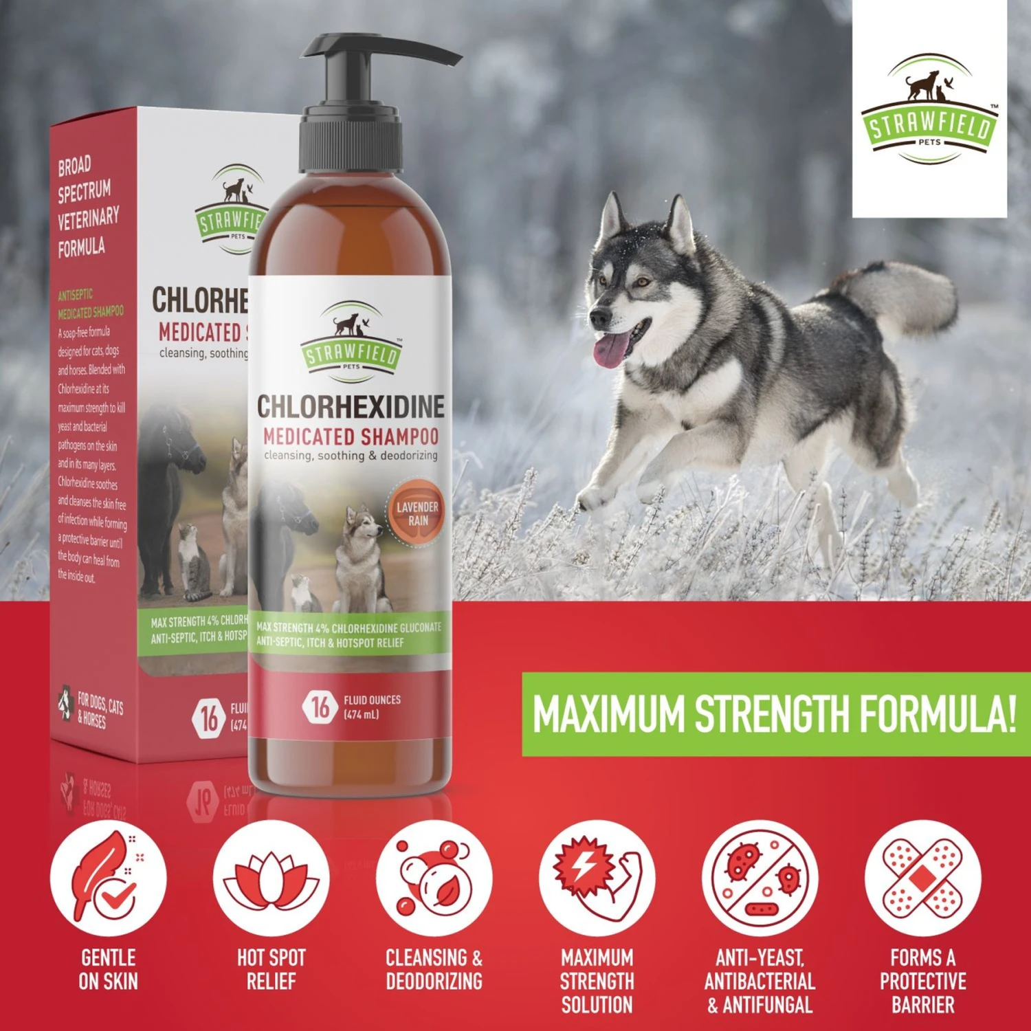 Strawfield Pets Chlorhexidine Medicated Dog, Cat & Horse Shampoo 9 Strawfield Pets Chlorhexidine Medicated Dog, Cat & Horse Shampoo - Image 9
