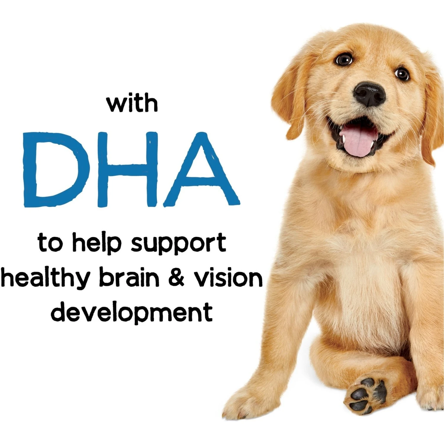 Purina Beneful Healthy Puppy With Farm Raised Chicken High Protein Dry Dog Food 6 Purina Beneful Healthy Puppy With Farm Raised Chicken High Protein Dry Dog Food - Image 6