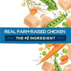 Purina Beneful Healthy Puppy With Farm Raised Chicken High Protein Dry Dog Food 15 Purina Beneful Healthy Puppy With Farm Raised Chicken High Protein Dry Dog Food -Pet Wellness 173762 PT6. AC SS1800 V1695736852