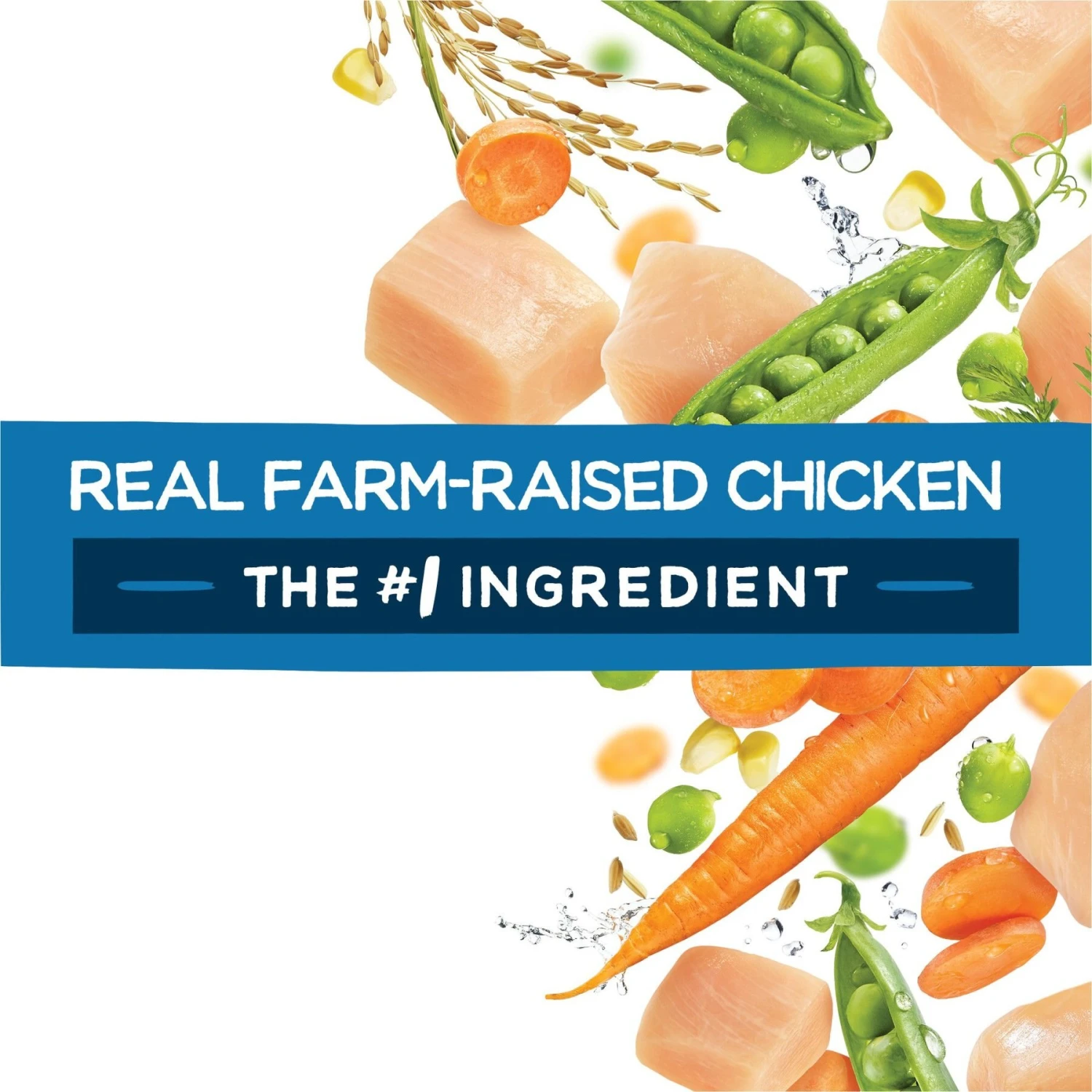 Purina Beneful Healthy Puppy With Farm Raised Chicken High Protein Dry Dog Food 7 Purina Beneful Healthy Puppy With Farm Raised Chicken High Protein Dry Dog Food - Image 7