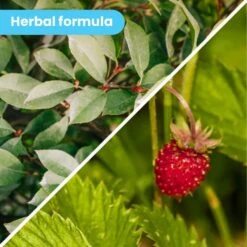 Pawtitas Organic Nose Dog Balm Moisturizer 5 Pawtitas Organic Nose Dog Balm Moisturizer -Pet Wellness 173793 PT3. AC SS1800 V1558361818