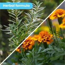 Pawtitas Organic Paw Dog Balm Moisturizer 7 Pawtitas Organic Paw Dog Balm Moisturizer -Pet Wellness 173795 PT3. AC SS1800 V1558361824